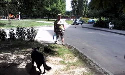 IMG_20160625_130157.webp