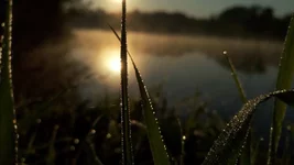 P60503-060210.webp