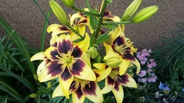 20160624_185043.webp