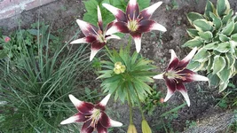20160624_180610.webp