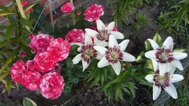 20160624_180601.webp