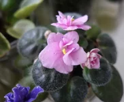 DSC06526.webp