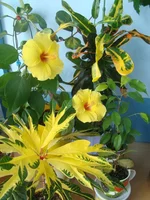 DSC00507_.webp