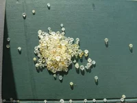 IMG1_2580.webp