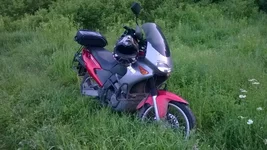 WP_20160618_018.jpg