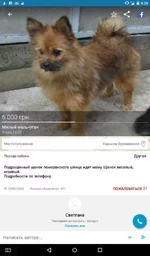 Screenshot_2016-06-08-09-29-25.webp