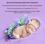 6hxtzbPec8U.webp