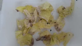 20160712_181751.webp