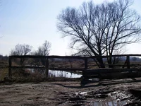 P3290058.webp