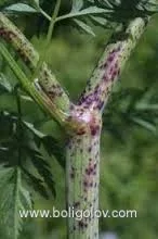 images (3).webp
