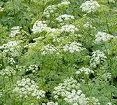 images (5).webp