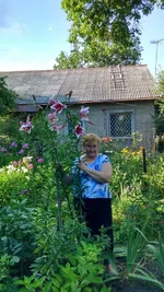 IMG_20160703_175405_HDR.webp