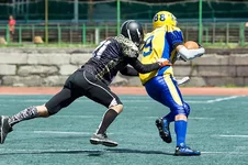 AU0C4506.webp