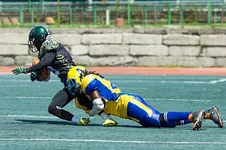 AU0C4670.webp