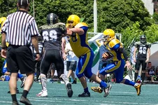 AU0C4691.webp