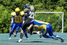 AU0C4719.webp