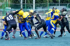 AU0C4764.webp