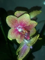 I9lQ7wzFgAU.webp