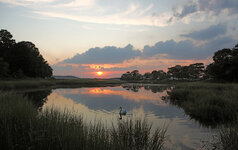 IMG_2374w.jpg