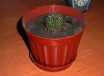 7 Апреля 2009.webp