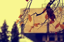 rPICT4186.webp