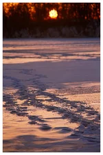 -020501-2.webp