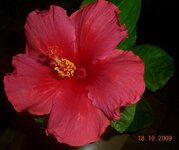 DSCN3332.jpg