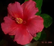 DSCN3332.webp