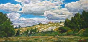 Борщивские луга_левкас_21х43.jpg