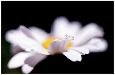 080201-10-Fin.webp