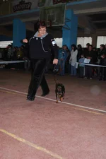 DSC_3336.webp
