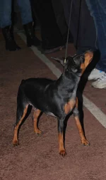 DSC_3344.webp