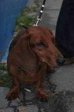 DSC_3457.webp