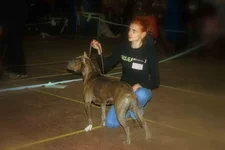 DSC_3532.webp