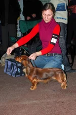 DSC_3567.webp