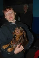 DSC_3594.webp