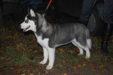 DSC_3598.webp