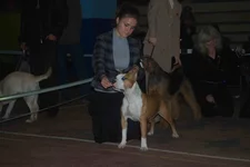 DSC_3616.webp