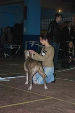 DSC_3546.webp