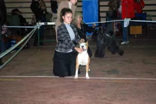 DSC_3614.webp