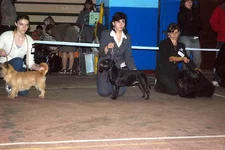 DSC_3617.webp