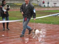  на ринге (K).webp