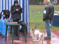  на ринге2 (К).webp