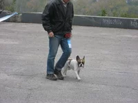  на ринге (З).webp