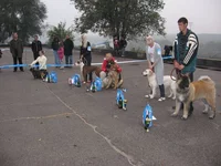  из лучших юниоры (З).webp