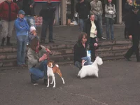  из лучших взрослые (З).webp