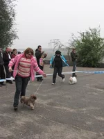 -той летит по рингу2.webp