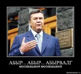 .webp