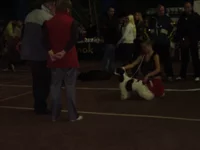 PA140019.webp