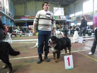  кобели 1 отл САС - ЭДГАР.webp